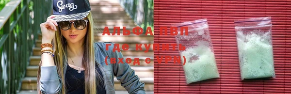 прущие крисы Алзамай