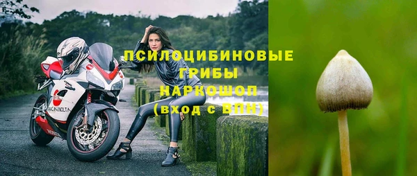 прущие крисы Алзамай