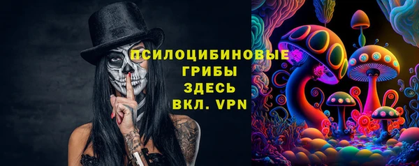 бошки Алексеевка