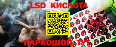 гидра Балашиха