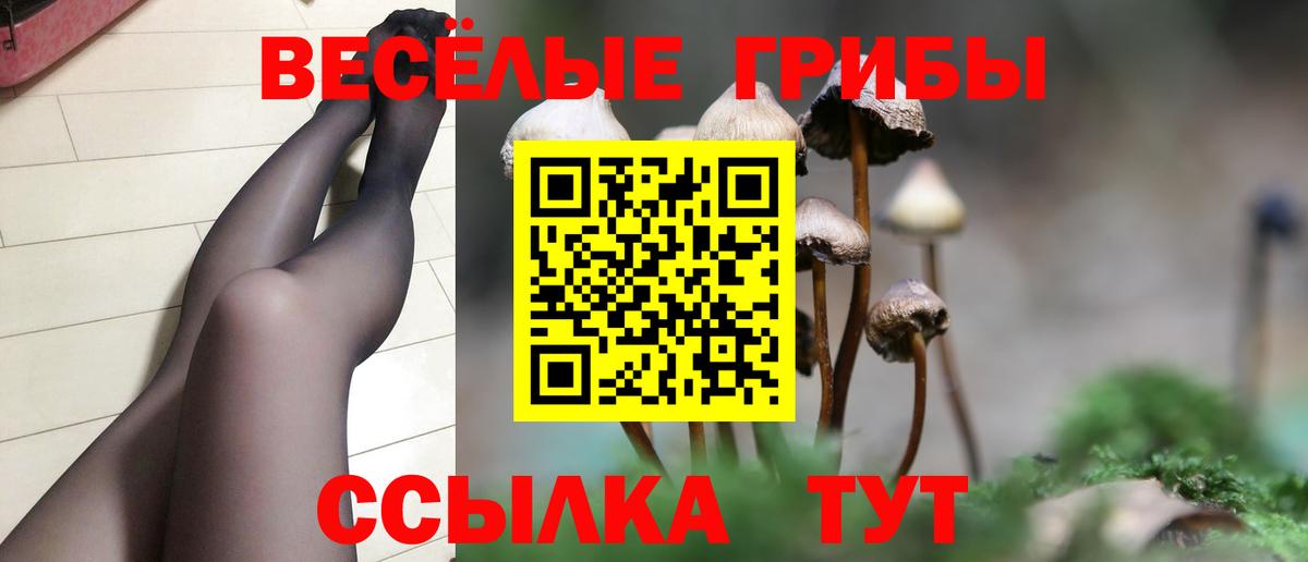 Псилоцибиновые грибы Psilocybe Дзержинск
